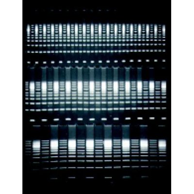 Thermo Fisher Owl™ A2 and A5 Large Gel Electrophoresis System Combs