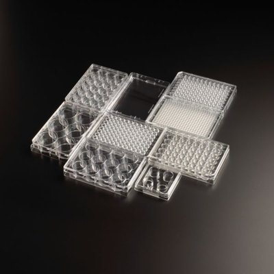 CELLTREAT Tissue Culture Treated Polystyrene Multiple Well Plates