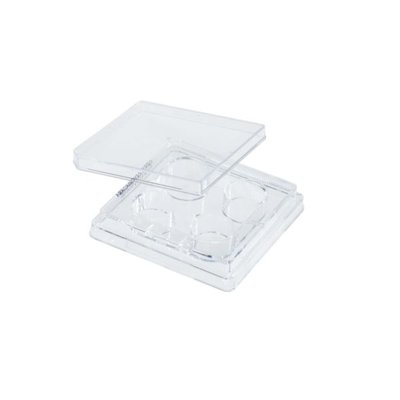 Tissue Culture Treated Polystyrene Multiple Well Plates