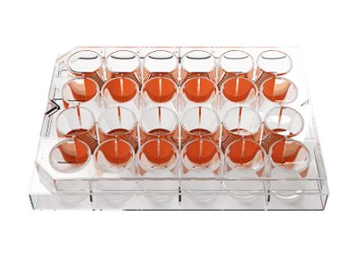 SphericalPlate 5D® Cell Culture Plate
