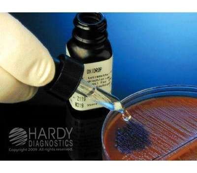 OxiDrops Liquid Oxidase Reagent