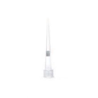 Globe Scientific Sterile Low Retention Filter Pipette Tips