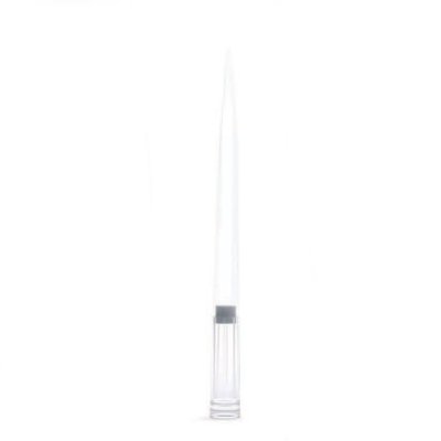 Globe Scientific Sterile Low Retention Filter Pipette Tips