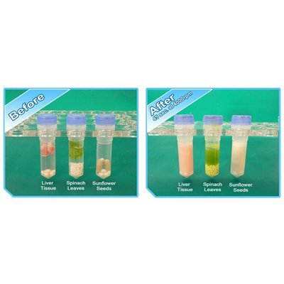 Benchmark Scientific BeadBug™ 3 Microtube Homogenizer