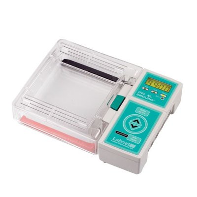 Labnet International ENDURO™ Gel XL Horizontal Electrophoresis System