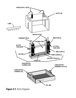Thermo Fisher Owl™ P8DS Dual-Gel Vertical Electrophoresis Systems