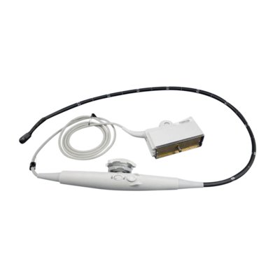 Acuson TE-V5Ms Ultrasound Probe
